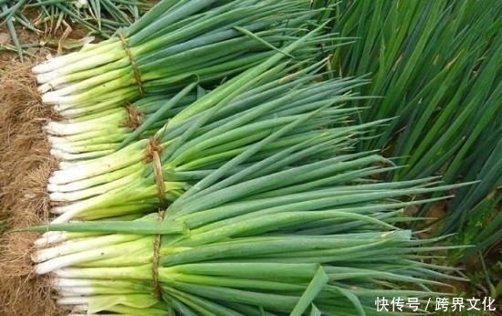 咳嗽吐痰|萝卜和“它”一起吃,降三高,养脾胃,还能预防感冒,越吃越健康