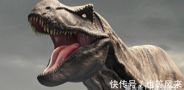 35个冷知识：教科书上不会出现，但却真实存在于世界各地