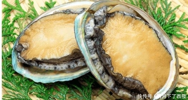 随便|第一次吃鲍鱼,不知道“几头”鲍鱼是什么意思,就不要随便说一头