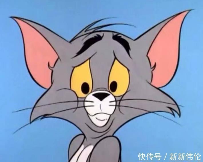 猫咪|美国我有只猫叫杰瑞,日本我的叫哆啦A梦,中国弟弟们让下