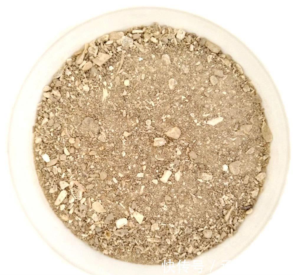 坚果壳|果皮、坚果壳、骨头该怎么处理?这样制成肥料,养花不再缺营养