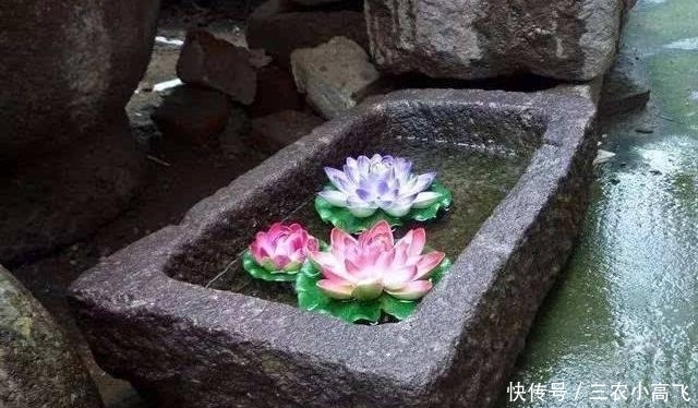 机会|农村你家里有这5个老物件吗? 别错过当富一代的机会哦