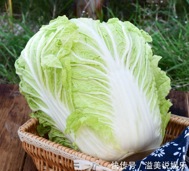 才知道,原来绿叶白菜和黄叶白菜的区别这么大,学会以后别买错了