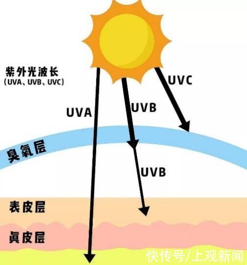 防晒霜|抹了防晒霜还是晒黑了？可能是你的防晒霜没抹对