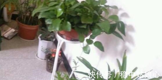 8年赚了30万,回乡下盖了个小别墅,装好后朋友却说很土气!