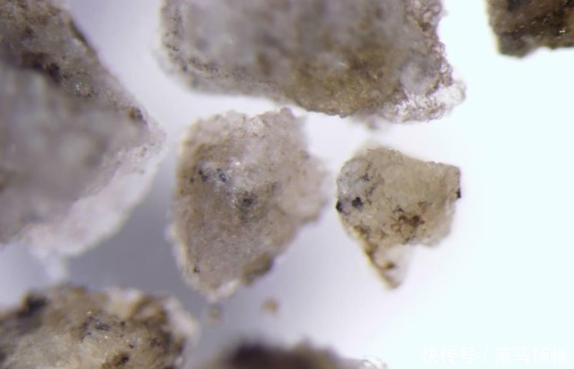 月壤首次公开亮相!放大20倍看,里面居然密密麻麻都是这个