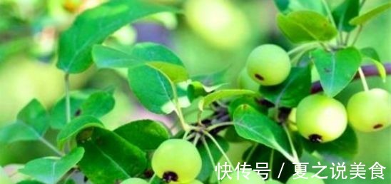 养生|超市最常见的三种食物,美容养生、延缓衰老,好吃又不贵!