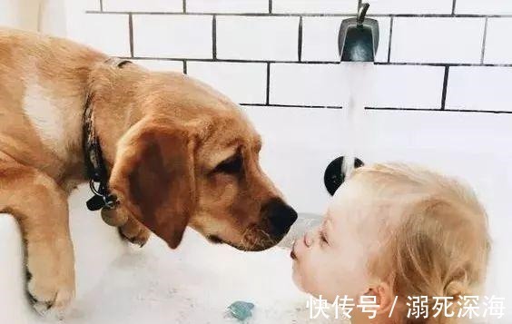 宋江|10年后最没出息的,就是这4种孩子!家长趁早留意!