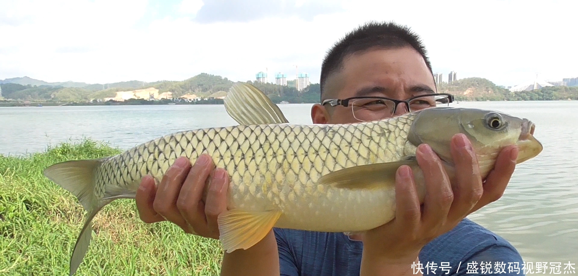 夏天|夏天炎热鱼儿会去哪儿？不同种类鱼聚集地不同，草鲤鲫鳊加鲢鳙