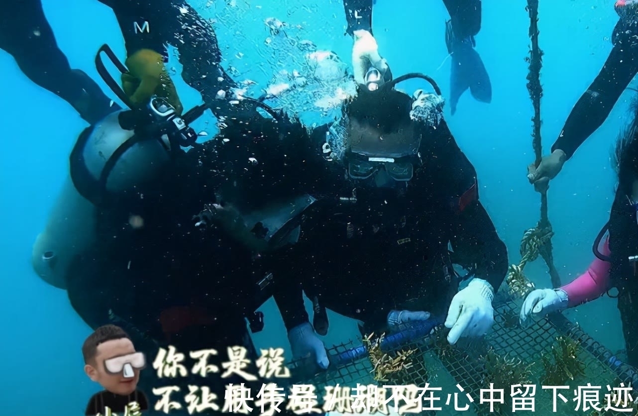 王冰冰参加综艺当嘉宾,素颜再次“美出圈”,热度堪比一线明星