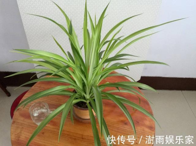 有害物质|新房装修完通风半年就能住吗听专业人一分析,我就不心急入住了