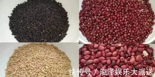 麦仁|女人气血不好,常煲一锅粥喝,食材做法简单,补血养颜不发胖