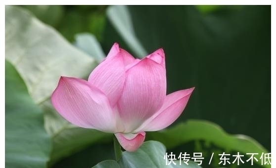 贵人|未来一个月,4属相有贵人提携,升职加薪,心情大好,生活无忧