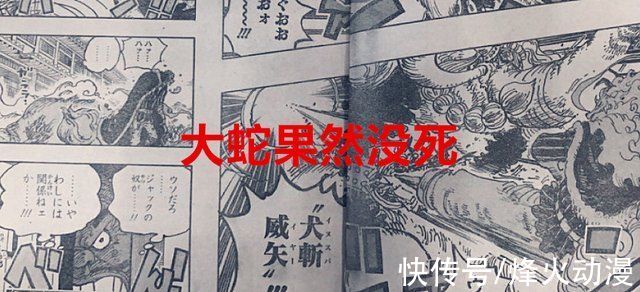 大蛇|海贼王1026话:大蛇果然还没死，桃之助咬住了凯多的“龙蛋”?