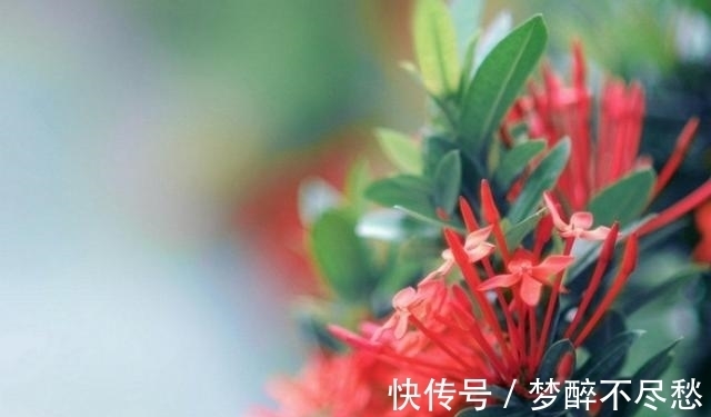 天后|从7月22日开始，邂逅旧爱，不再逃避，牵起双手，爱情甜甜蜜蜜