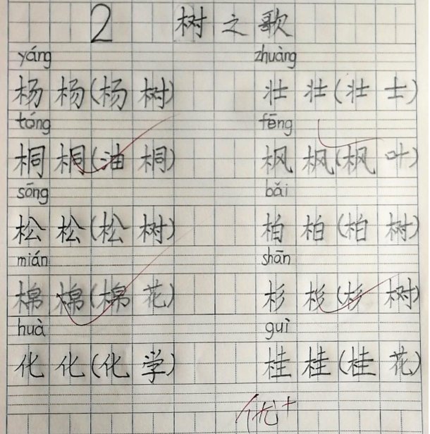 小学生A+作业走红，字体清新脱俗如印刷体，网友：别人家的孩子