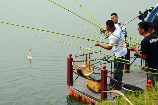 阴天|惊蛰过后、遇到这几种天气,请假也要去钓鱼,大鲫鱼排队咬钩