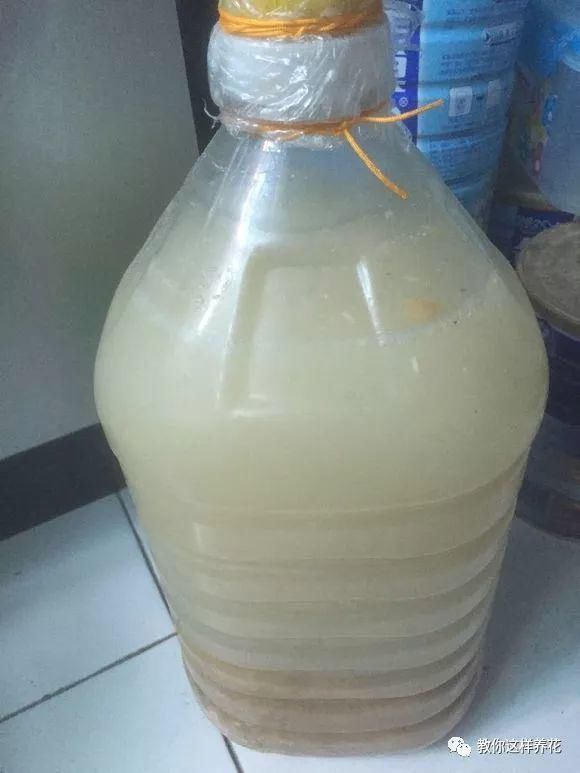 4种“壳”每家都有,丢盆里疏松透气,2年不用换盆,长得旺!