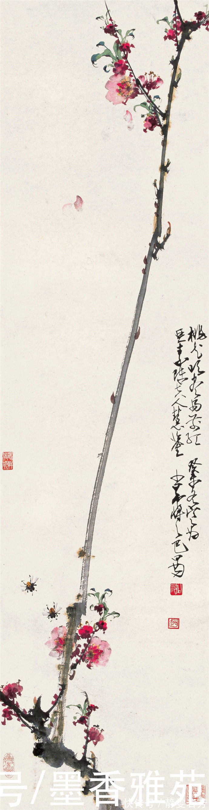 赵少昂!岭南画派大师赵少昂精品花鸟画作品欣赏