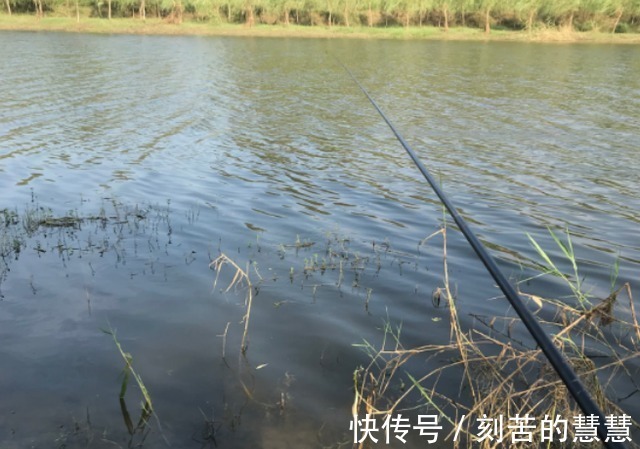 传导素|冬天降温鱼口轻,怎么钓才最好进来划重点