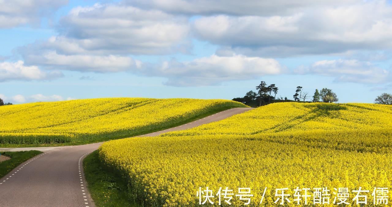 山露水|修炼城府，从不勾心斗角的星座，知世故而不世故，格局观看得高远