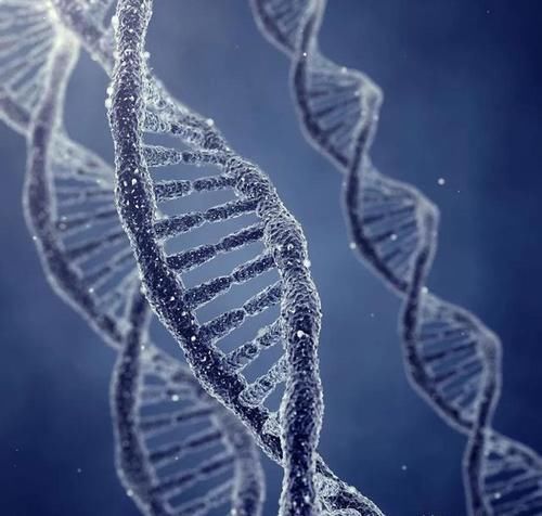 健康|一辈子抽烟喝酒,却依然长寿!这5个健康长寿“秘诀”你知道吗?