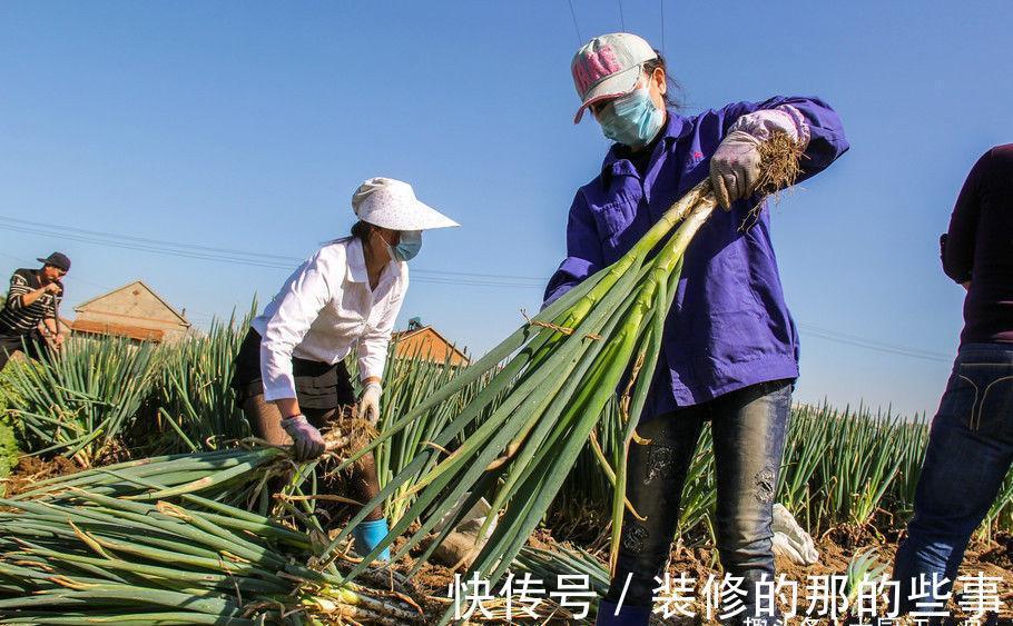 保存大葱其实很简单，教你2招，连放3个月照样新鲜，太实用了