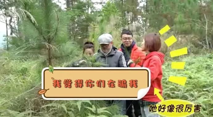 美食｜几位主持人齐齐抬竹子，难道要改行做木工？