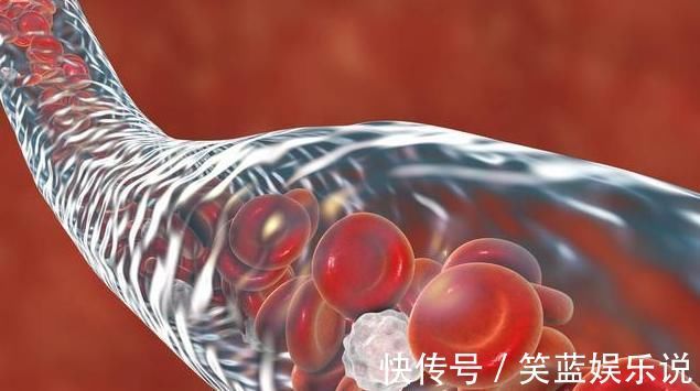 降压药|高血压病友不想“肾早衰”，拖累下半生！降压过程中5点别大意