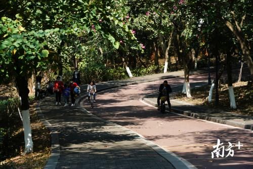 过年|春日暖阳，旗峰山登高望远人气旺