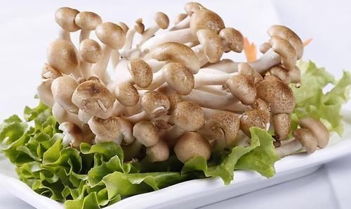 女人想瘦身，多吃保健食物，肌膚白嫩，消脂排毒，越來越年輕