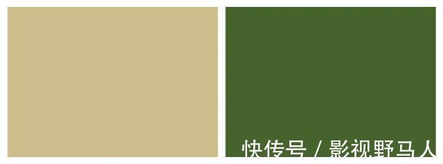 厨房|设计师爆改55㎡老破小，配色高级、功能齐全，进屋就被迷住了！