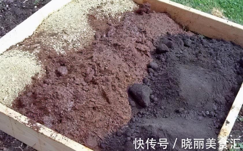 养花基本要求：浇水前后，不注意这些地方，真的要吃亏