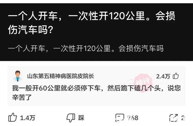 |神评段子合集:照片上有个熊猫就算了,居然还有个上发条的