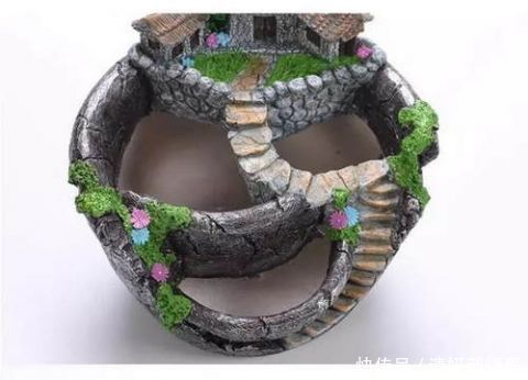 这几盆号称“浇不死”盆栽,吸收甲醛空化空气,聪明人都在养!