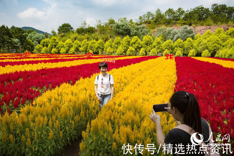 秋色|国庆假期各地秋色入画来