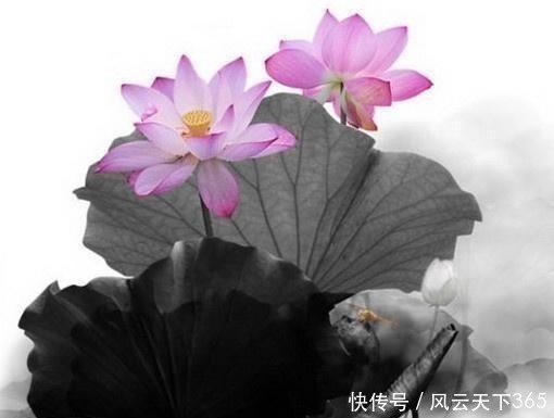 蓦然回首#佛教最经典的24句话,修身养性,不看是你的损失!