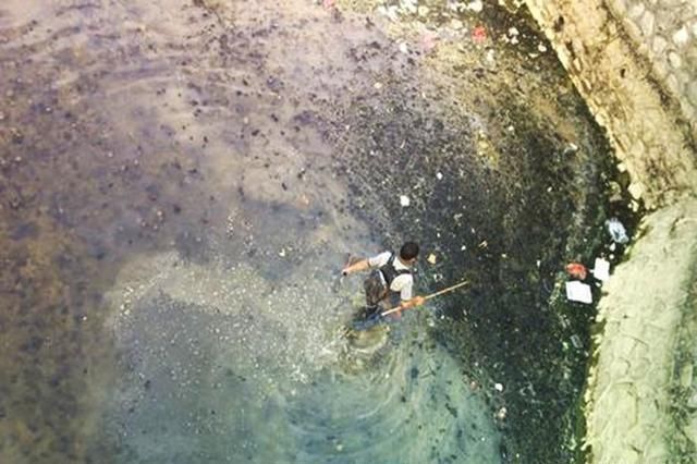 电鱼6斤罚款20000元，鱼苗放了二百斤，钓友真是大快人心