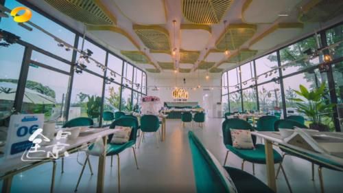 丁真|经营中餐厅却不会做菜?黄晓明把番茄蛋炒焦,姚安娜把葱认成韭菜