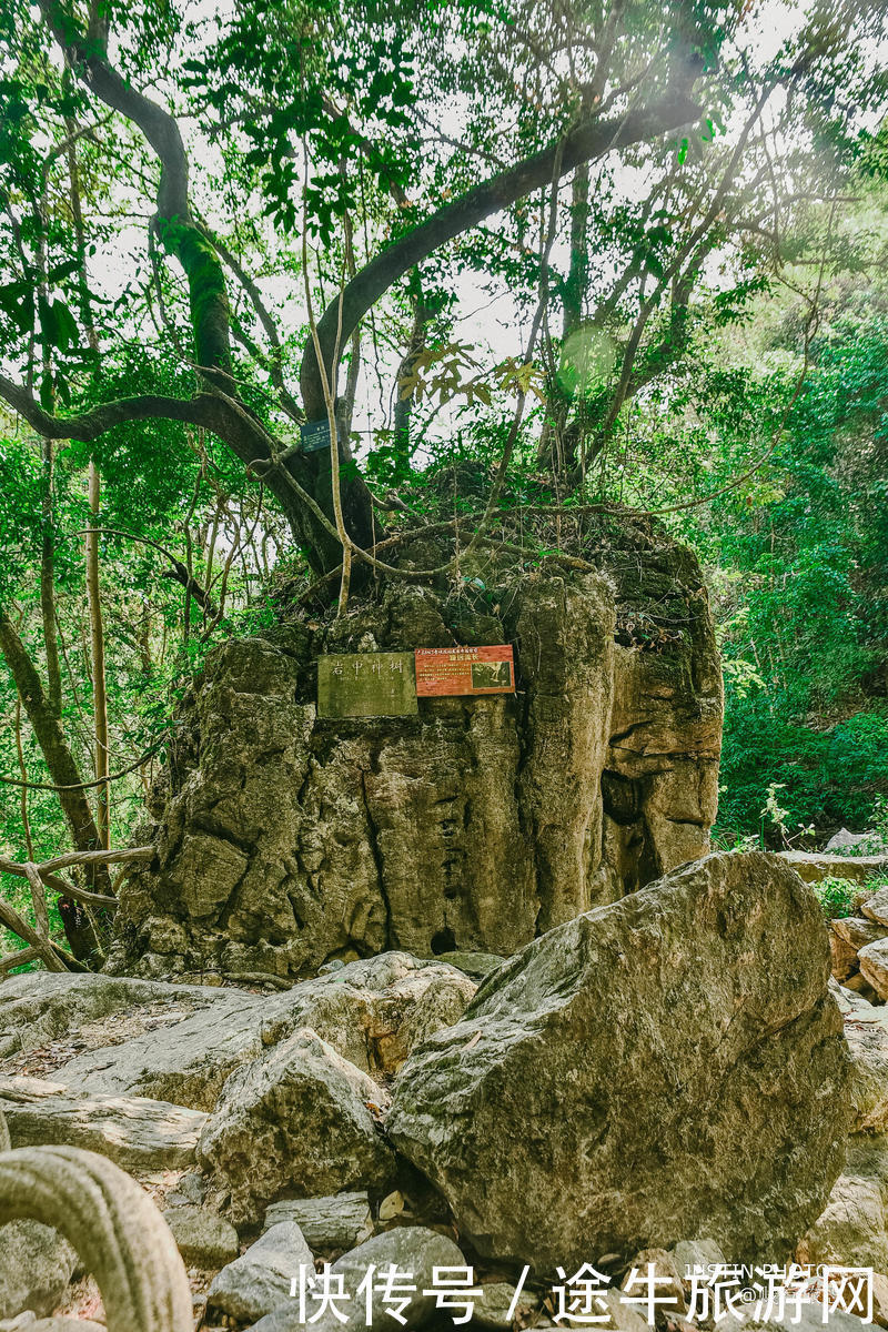 韶关踏青，陷进一汪青山绿水的仙门奇峡世界