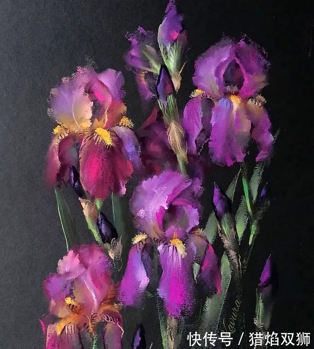 粉画#他可以赋予花卉作品不同的质感,那种柔和自美,赏心悦目!