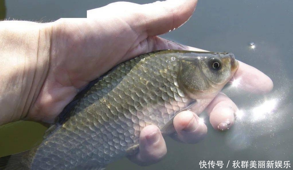 春天一到,鱼反而不好钓?按我说的这四点做,上鱼速度杠杠的。