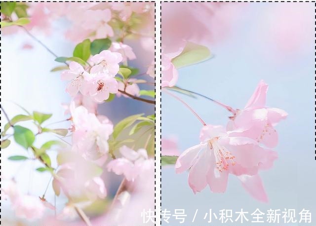 撞衫 风衣+阔腿裤=永不过时的气质精，时髦又高级！