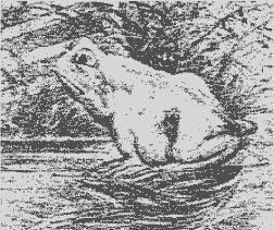 萃枫苷|老年痴呆测试题6道题全能答对,身体还很健康,来测一测