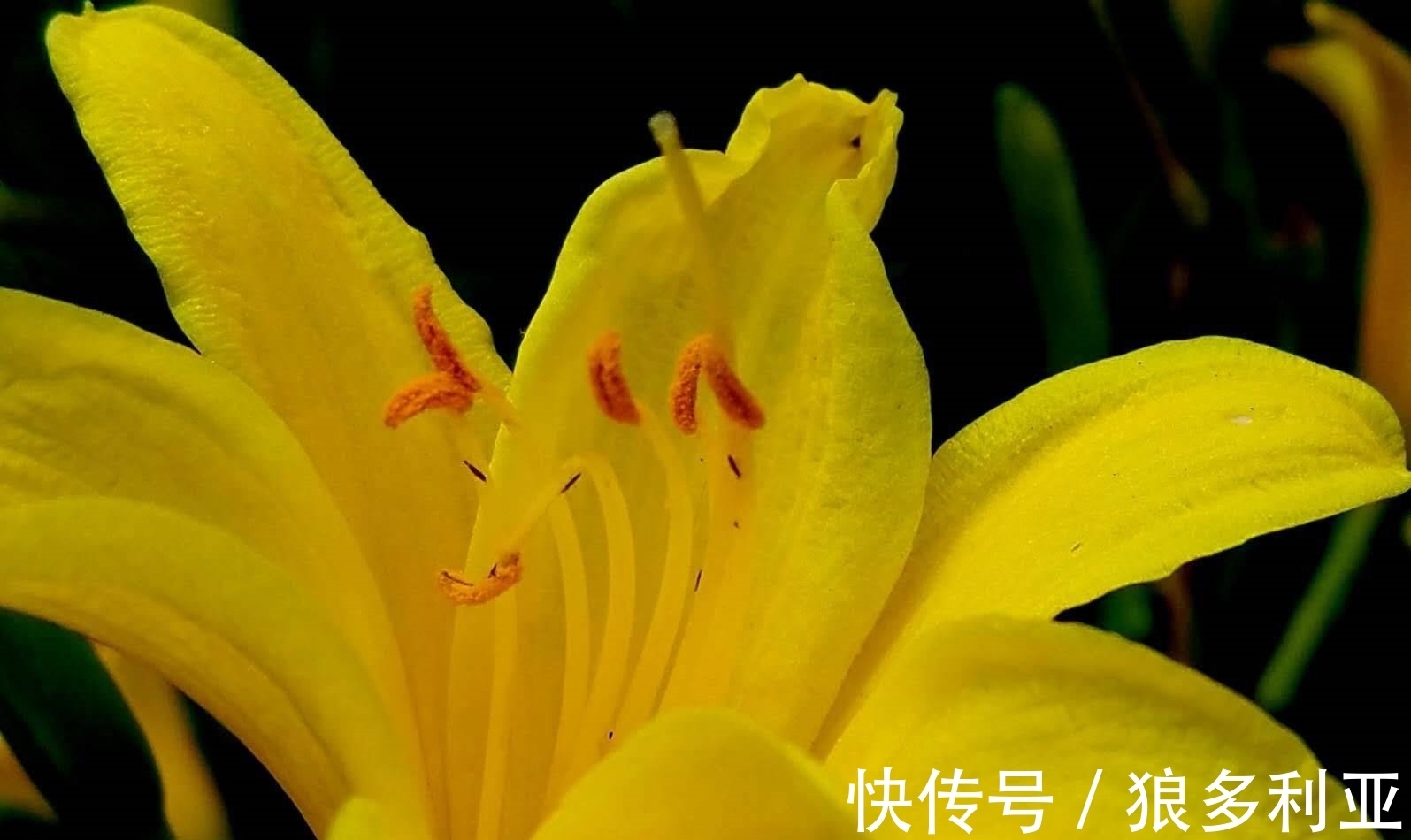 旧爱|20天后,忘记过往,容颜易老,旧爱不舍,新欢到来,你走吧