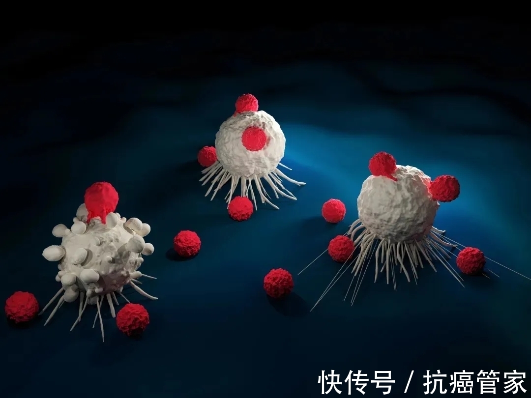 药物|肥胖患者化疗药物剂量如何调整？大多数医生都不知道！—抗癌管家