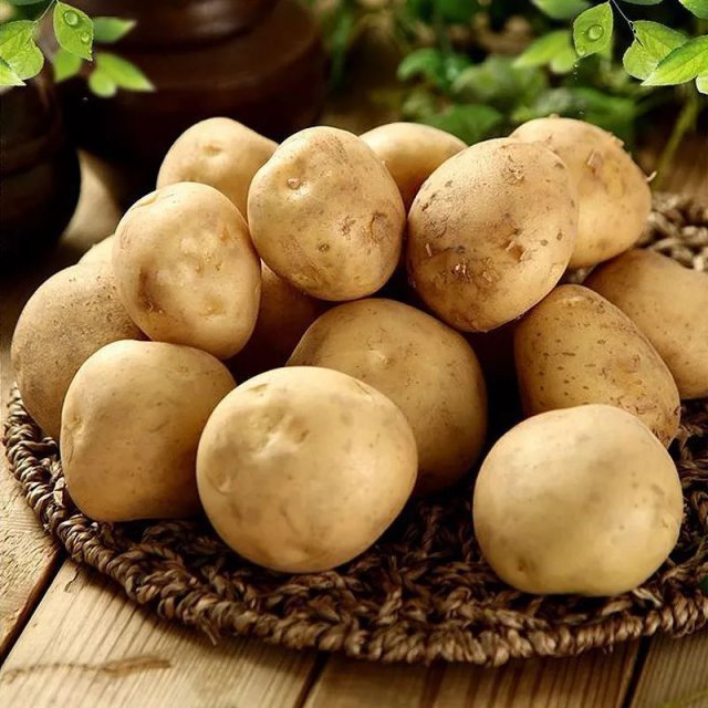 干煸土豆條|土豆好吃，但卻不能亂吃，吃土豆有1大禁忌，還有人傻傻不清楚