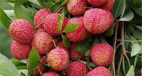 食物|女性养生，要学会坚持吃三种食物，排毒养颜、滋润肌肤