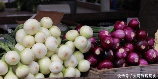 槲皮素|买洋葱，紫皮白皮哪个好！老菜农说漏嘴，2种区别大，别再买错了