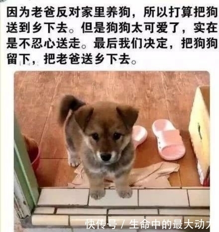 |笑话:在车上劫匪逼大爷要钱,大爷害怕说没钱,劫匪……